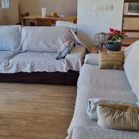 Agradable Casa Con Piscina Privada Y Jardin Villa เดเนีย ภายนอก รูปภาพ